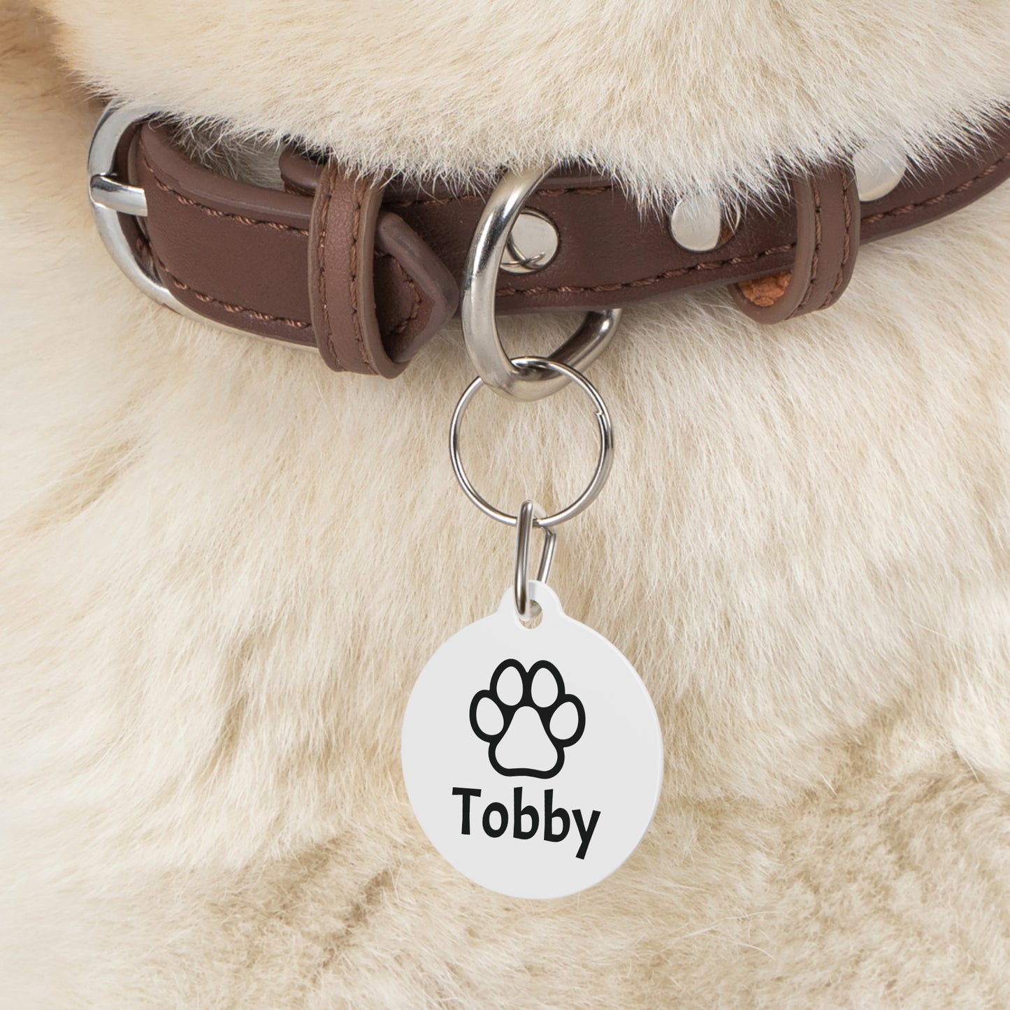 Customizable, Pet Tag with Name and Number