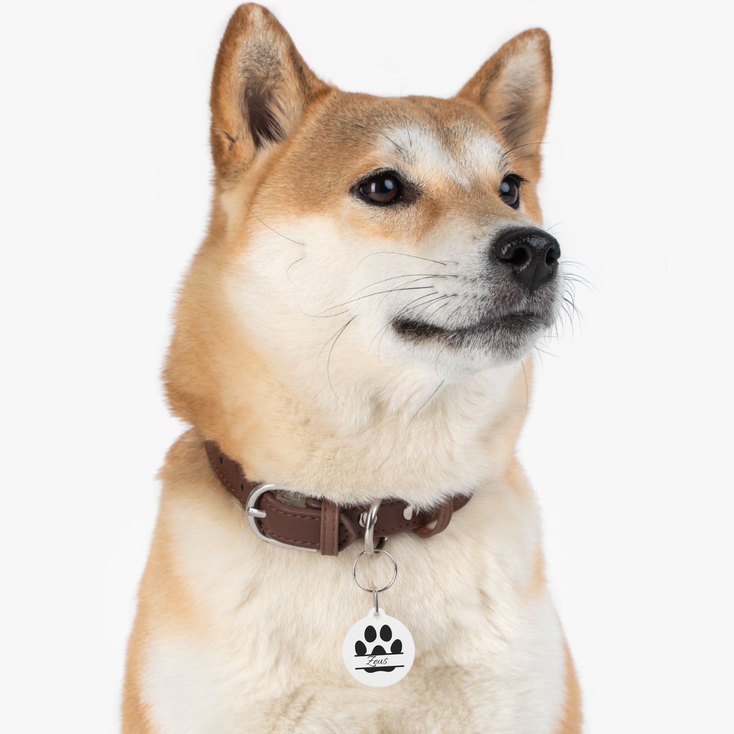 Customizable Pet Tag with Names and Number