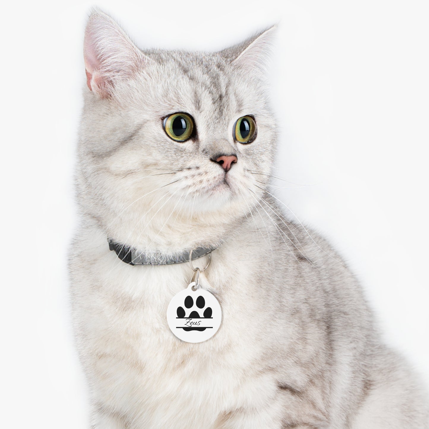 Customizable Pet Tag with Names and Number