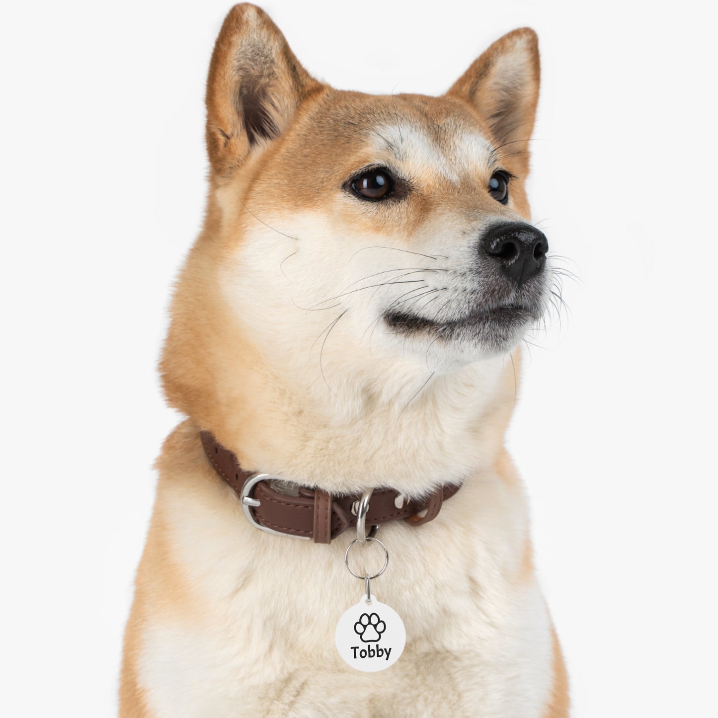 Customizable, Pet Tag with Name and Number