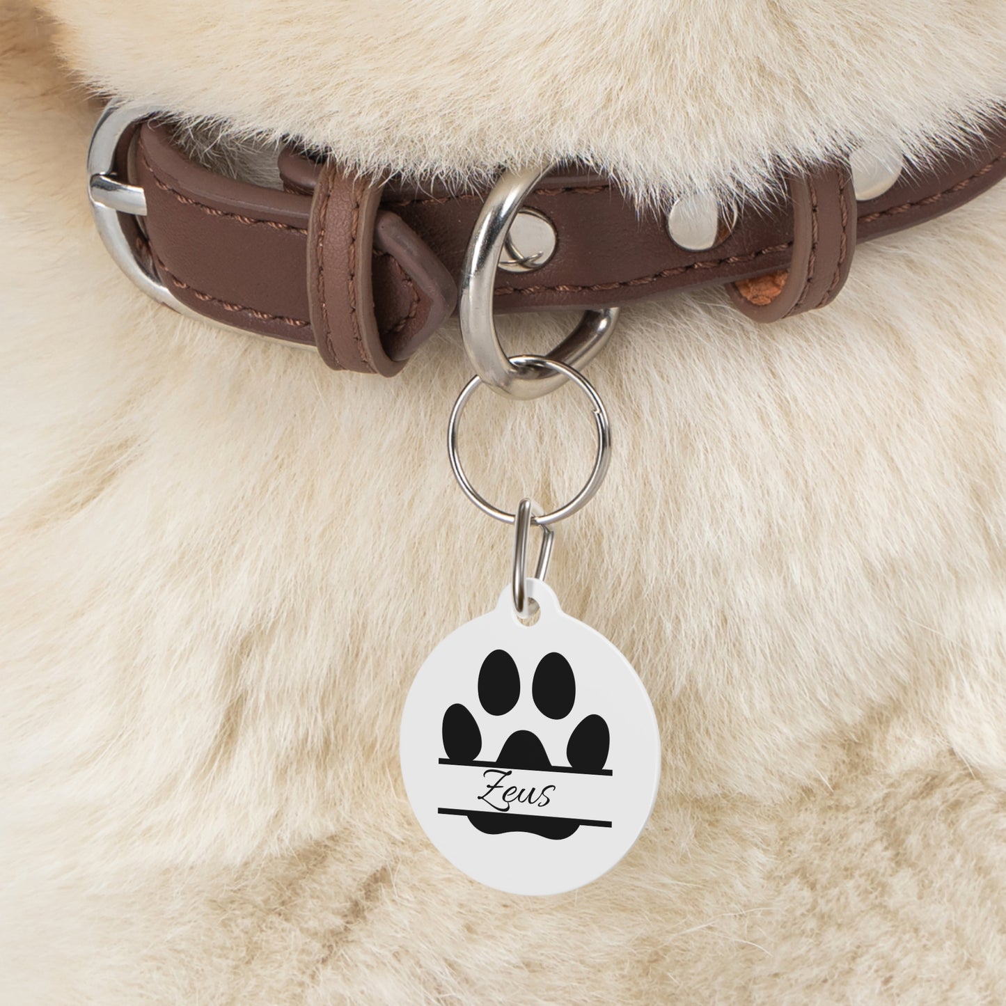 Customizable Pet Tag with Names and Number